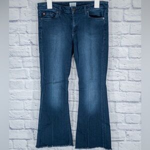 HUDSON flare jeans